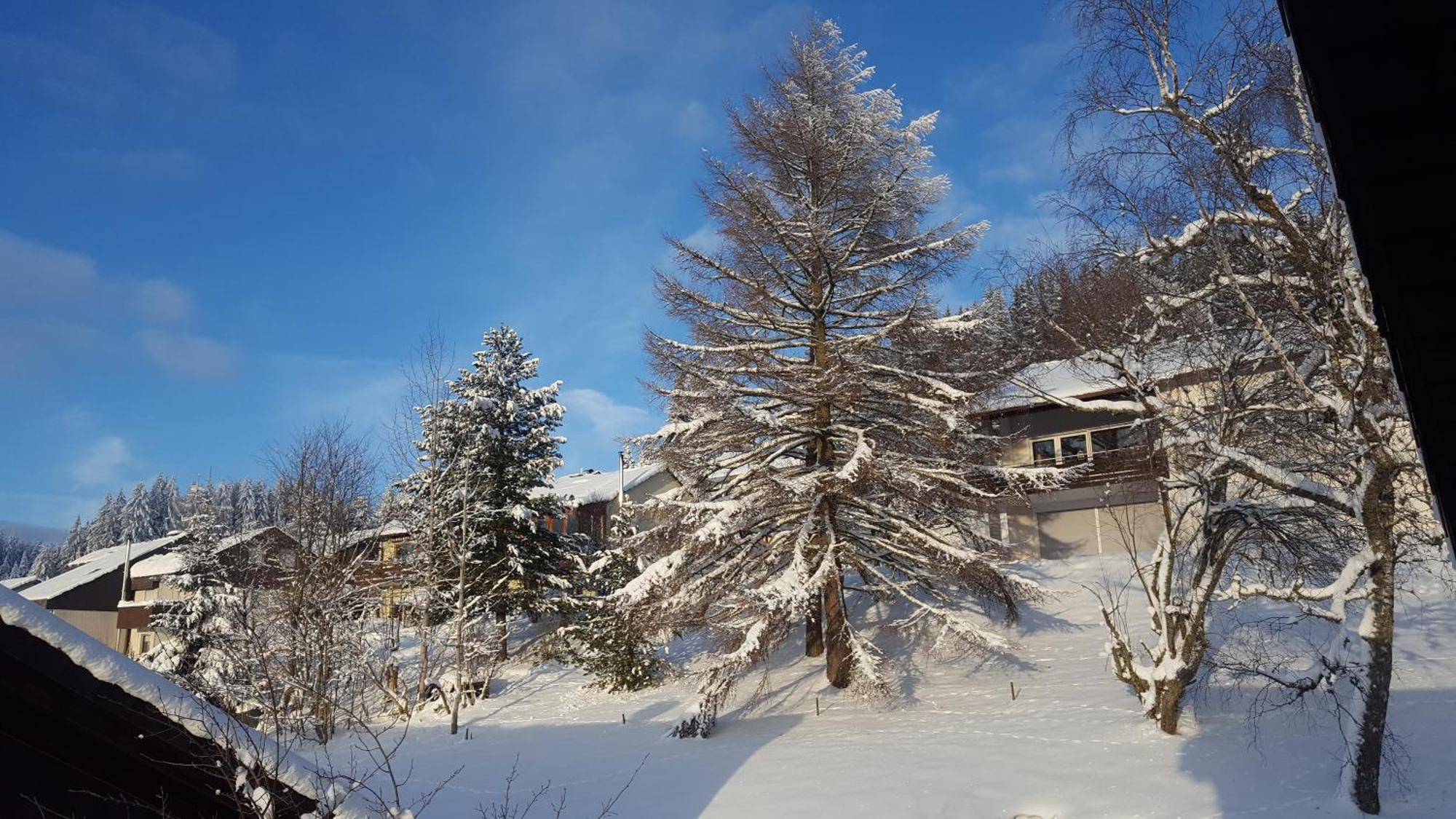 Ferienhaus Lucia, App.11 Schoenwald im Schwarzwald Exterior photo
